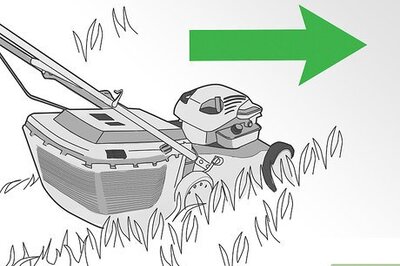 How to Water Your Lawn Efficiently