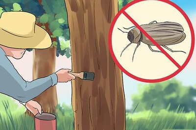 How to Paint a Tree