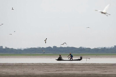 Brazil Scraps Bid to Mine Amazon Natural Reserve
