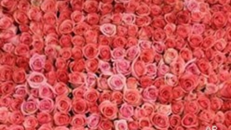 B'lore firm eyes top slot in rose market