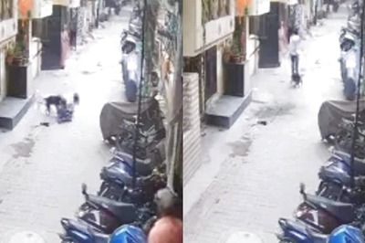 Caught on CCTV | Pit Bull Mauls Teen on Ghaziabad Lane, Stray Dogs Try To Rescue