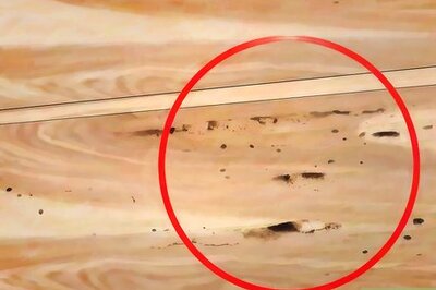 How to Spot Termite Damage