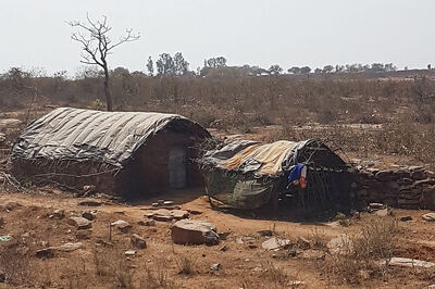 Inside UP's Red Corridor: Childhood Lost to Naxal Violence