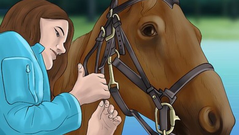 How to Get Your Horse to Work on the Bit