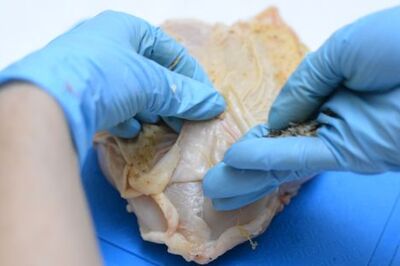 How to Make Thanksgiving Dinner for Two