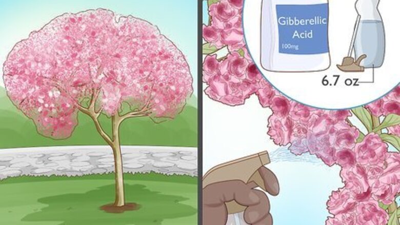 How to Stop a Cherry Tree from Bearing Fruit