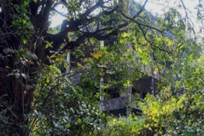 Delhi Lawyer, Who Acquired Dawood Ibrahim's Properties, Has A Reason For The Purchase