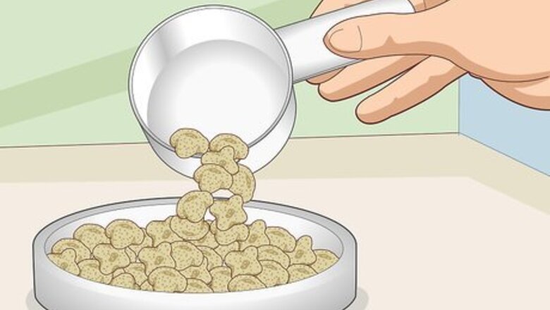 How to Choose Guinea Pig Food