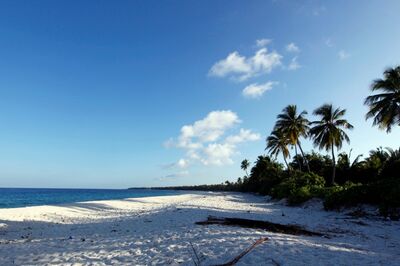 India a Key Player in Maldives’ Economic Growth: From Tourism, Hospitality to Infra & Human Resources