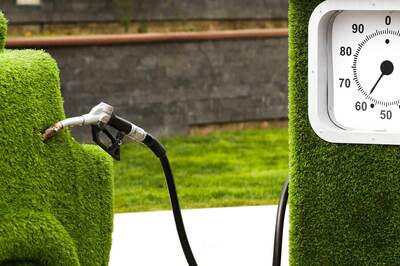 World Biofuel Day: The Importance of Biofuels in the Future