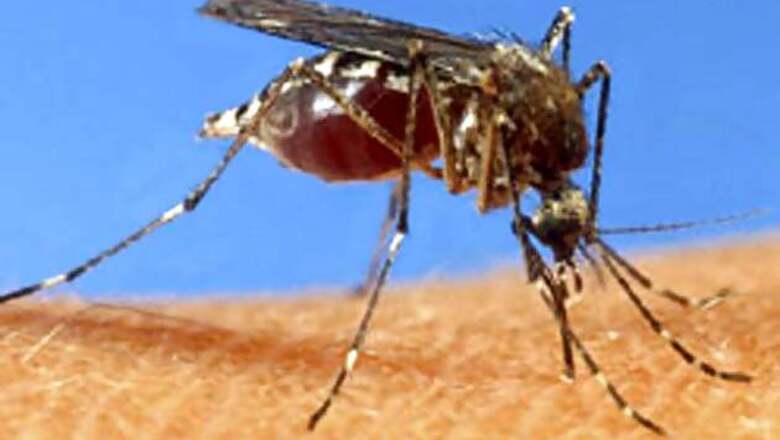 Dengue cases in Delhi reach 120