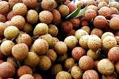 Bihar to gift organic litchis to Narendra Modi, Pranab Mukherjee