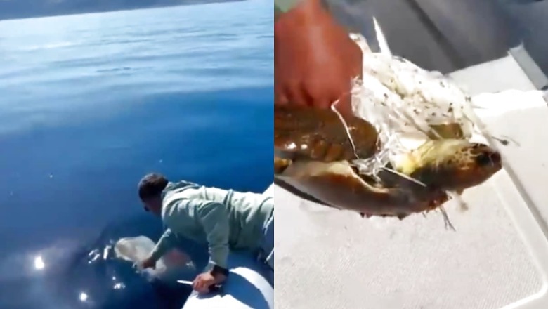 IAS Officer Shares Heartwarming Video Of Tunisia Man Rescuing Turtle From Plastic Net