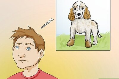 How to Choose a Name for a Pet