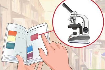 How to Use a Compound Microscope
