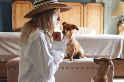 National Pet Day 2024: Tips To Pamper And Make Your Pet Feel Special This National Pet Day