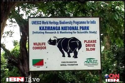Assam: Kaziranga National Park opens for tourists
