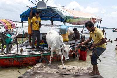 More Than 1200 Villages in Uttar Pradesh Hit by Floods, Rescue Efforts Underway