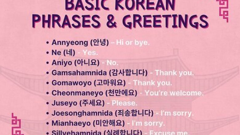 160+ Korean Phrases, Expressions & Slang for Tourists