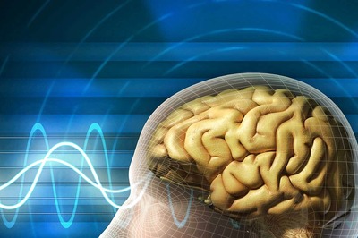 5 Best Nootropic Supplements and Smart Drugs In USA For 2022