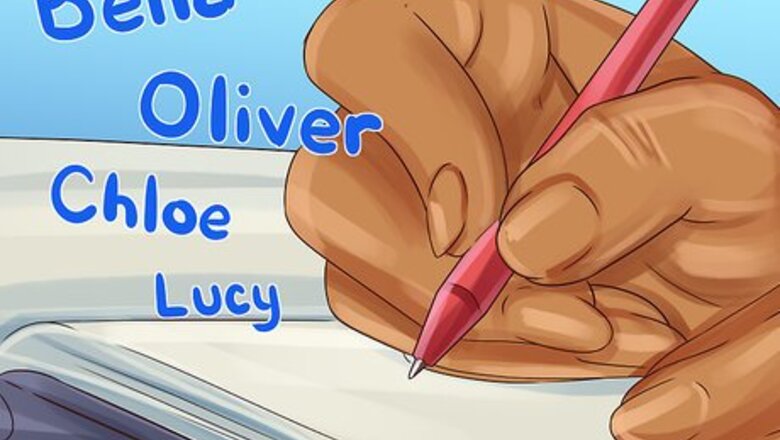 How to Choose a Kitten Name