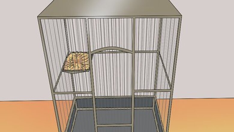 How to Breed Canaries