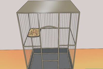 How to Breed Canaries