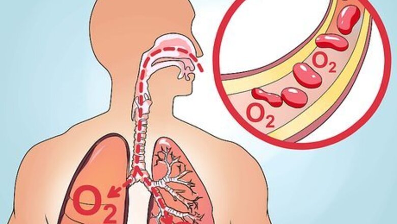 How to Measure Oxygen Saturation Using Pulse Oximeter
