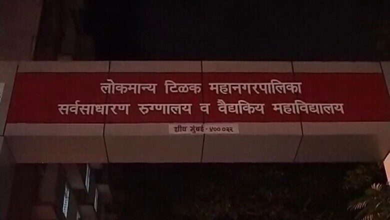 Mumbai: Woman dies while trying to save pet cat
