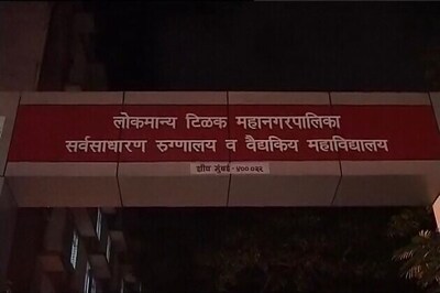 Mumbai: Woman dies while trying to save pet cat