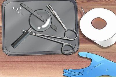 How to Dissect a Squid