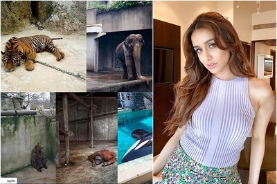 Shraddha Kapoor Uses Covid-19 Lockdown to Draw Attention to Animals Suffering in Captivity