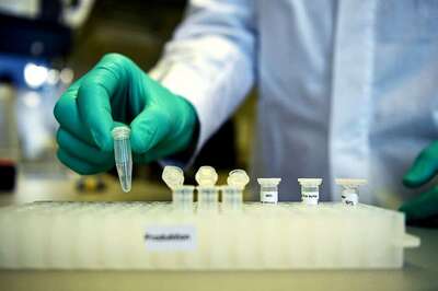 US Congressmen Call for Washington to Lead Global Effort in Developing, Distributing Covid-19 Vaccine