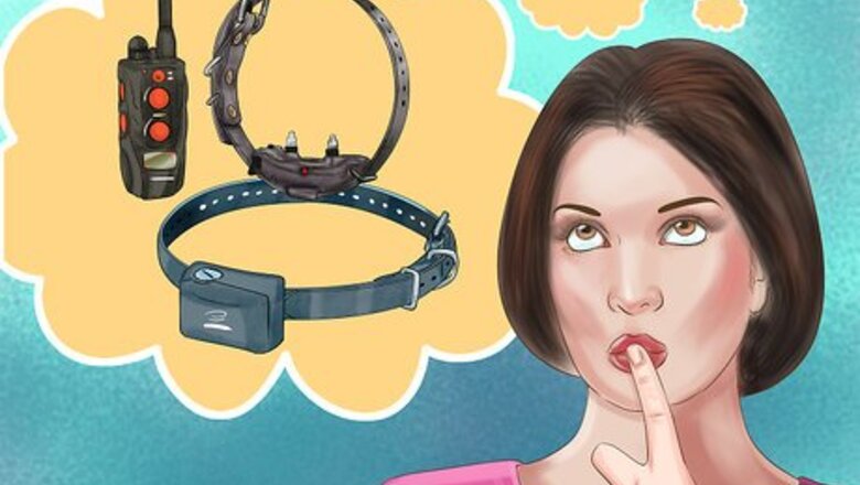 How to Buy Dog Training Collars