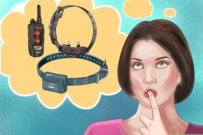 How to Buy Dog Training Collars