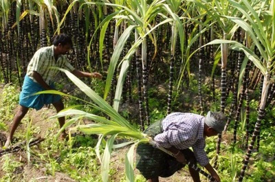 PM KISAN 10th Installment: Some Farmers to Receive Rs 4,000 This Month. Know Why