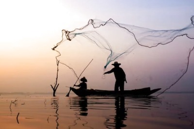 Marine Species, Believed To Have Gone Extinct 200 Years Ago, Found In Chile